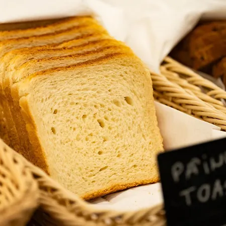 Atlas Hotel Timisoara