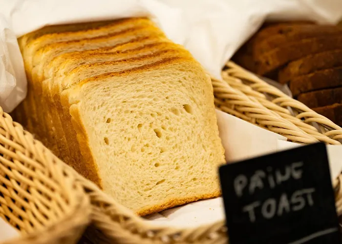 Atlas Hotel Timişoara